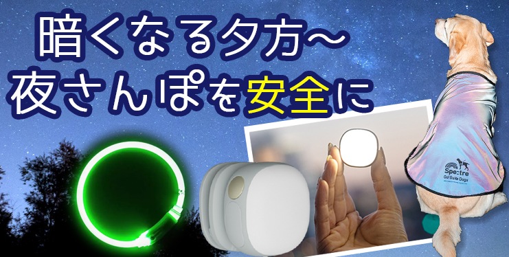 夜道の散歩も安心、安全♪