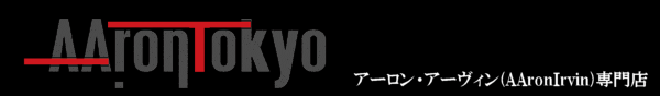 アーロン・アーヴィン(AAronIrvin) ミニ６穴対応 システム手帳 AA-SSA